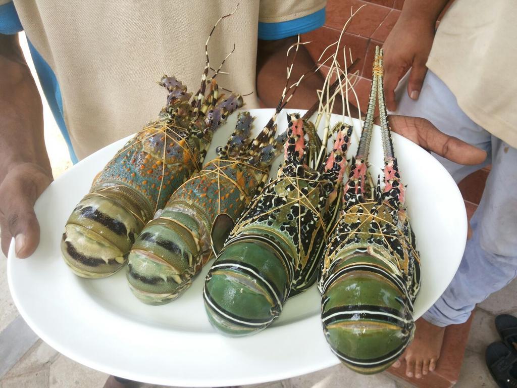 Welle Wadiya Beach Villa Kalpitiya Buitenkant foto